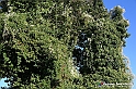 VBS_5382 - La solita strada... il grano da crescere, i campi da arare...